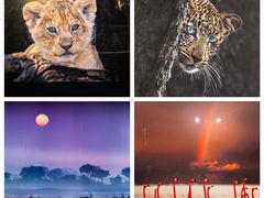 -罗红摄影艺术馆