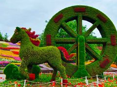 -沈阳植物园