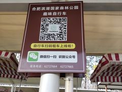 -合肥滨湖国家森林公园