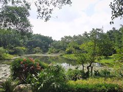 -云溪植物园