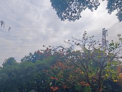 -晓港公园