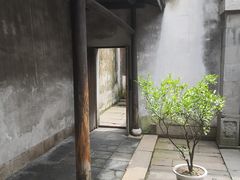 -乌镇东栅景区