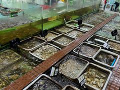 -景好海鲜餐厅(大鹏必选旅游店)