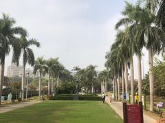 -观澜湖生态运动公社