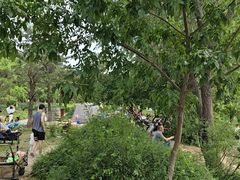 -绿堤公园