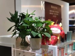 -时尚殿堂hair salon