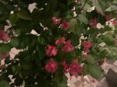 -钰田大院·怀柔地道农家菜·烤虹鳟鱼(雁栖湖店)