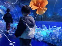 -重庆欢乐海底世界