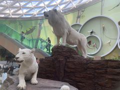 -陕西自然博物馆