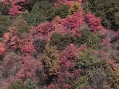 -少华山国家森林公园