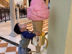 -澳门威尼斯人综合度假区
