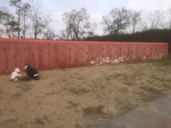 -春花秋色城市公园