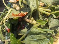 -向川南·水煮鱼·川菜(和平里店)