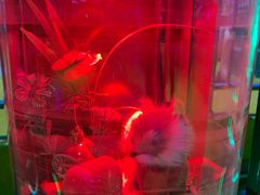 -幸福花欢乐世界(东辰广场A座店)