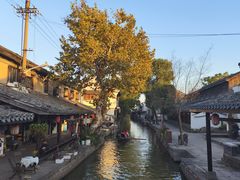 -孝店王酒酿馒头(安昌1店)