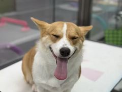 -全心全意动物诊疗中心医院(北苑店)