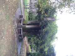 iphone_upload_pic-白塘生态植物园