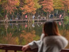 -重庆彩云湖湿地公园