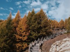 -苏木山森林公园