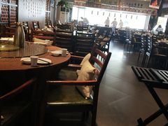 大堂-阿庄新豫菜(通泰路店)