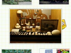 -新加坡飞禽公园