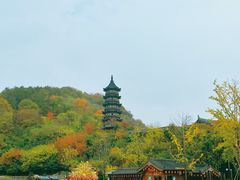 -牛首山文化旅游区