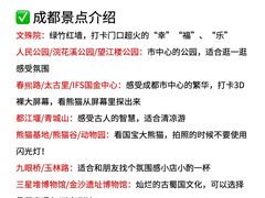 -王婆婆老妈蹄花川菜馆·非物质文化遗产(太古里一店)