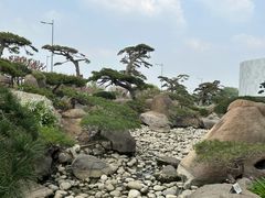 -罗红摄影艺术馆