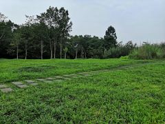 -桤木河湿地公园