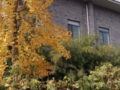 -朝阳公园体育中心