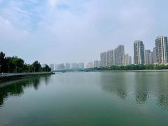 -五缘湾湿地公园