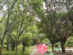 -天河儿童公园