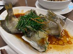 -大唐靓汤江门私房菜(景田店)