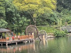 -重庆彩云湖湿地公园