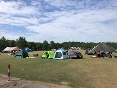 -上海海湾国家森林公园