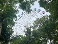 -塔子山公园