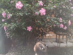 -海窝子古镇