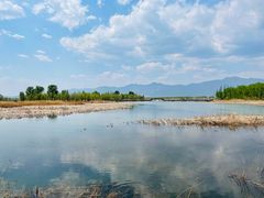 -野鸭湖国家湿地公园