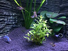 -上海海洋水族馆