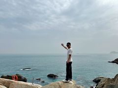 -广东惠东海龟国家级自然保护区