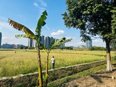 -光明小镇欢乐田园