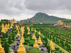 -东芭乐园