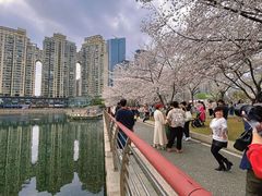 -西北湖绿化广场
