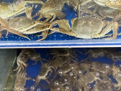 -阳澄湖大闸蟹·琼灵阁牌品牌连锁(吴中总店)
