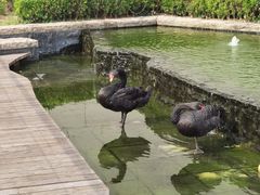 -行者书屋大堂吧 ·下午茶(南京圣和府邸酒店)