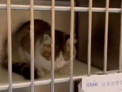 -萌兽医馆·犬猫专科·眼科中心·宠物医院(朝阳门分院)