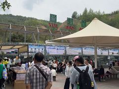 -青藏高原野生动物园