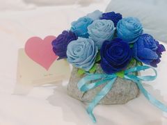 -优护佳月嫂育儿嫂中心(静安店)