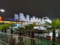 -武汉两江游览·夜游长江(汉口粤汉码头)