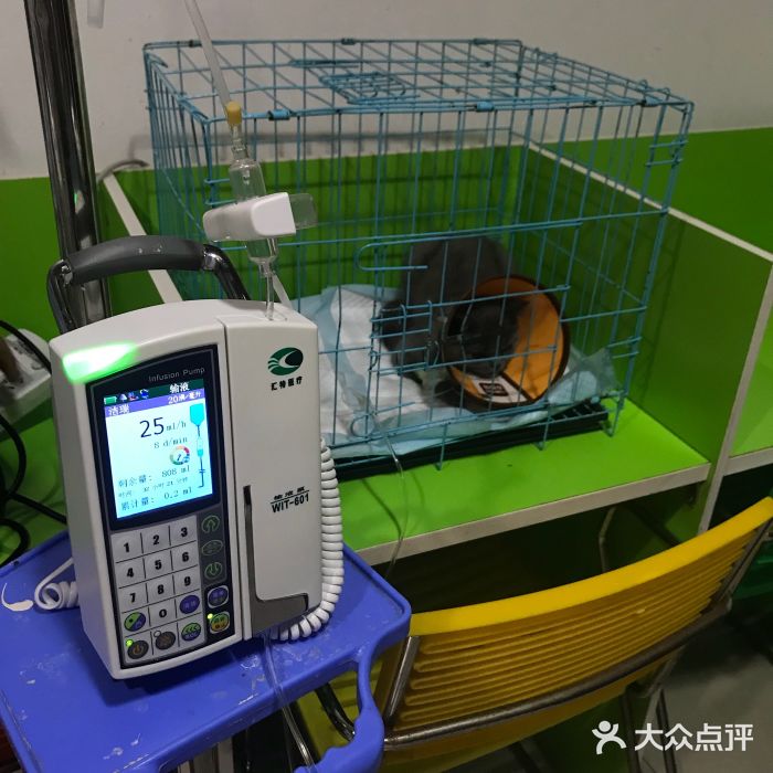 诺威宠物医院(官邸分院)图片